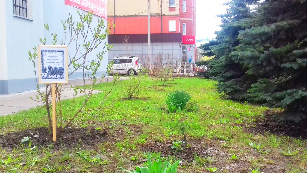 20170505_140000.jpg 20170505_140000.jpg